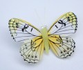 207766 Veren vlinder geel